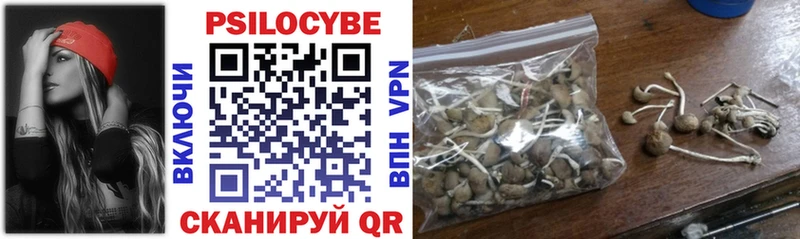 Купить  Североуральск  Галлюциногенные грибы Magic Shrooms 