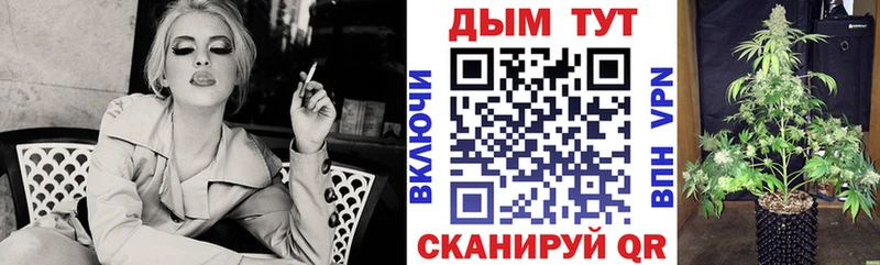 Купить закладки  Североуральск  Канабис индика 